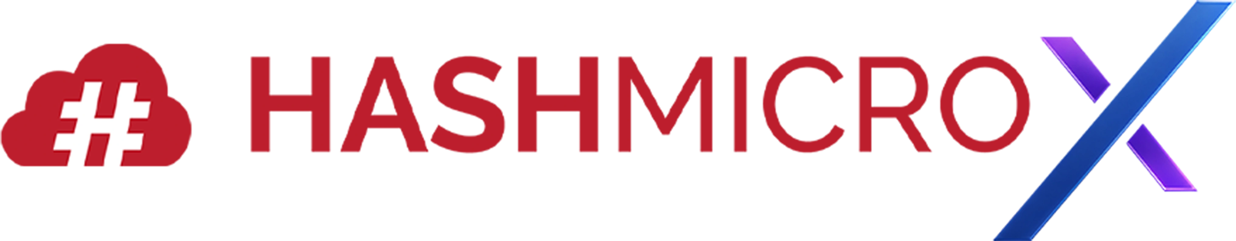 HashMicro X